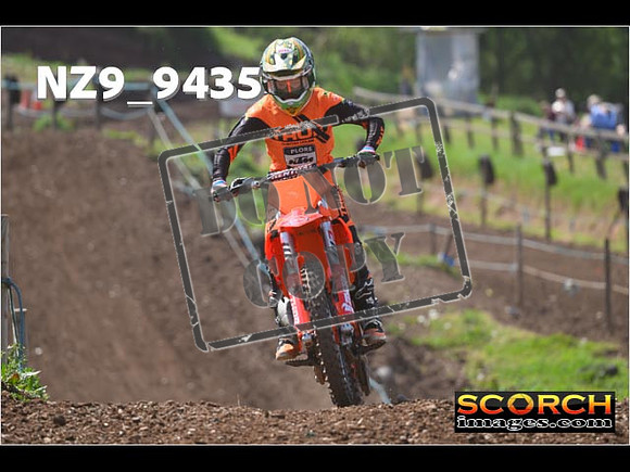 Experts-287