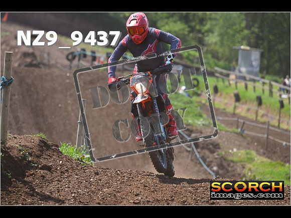 Experts-288
