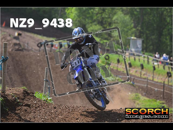 Experts-289