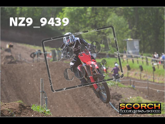 Experts-290