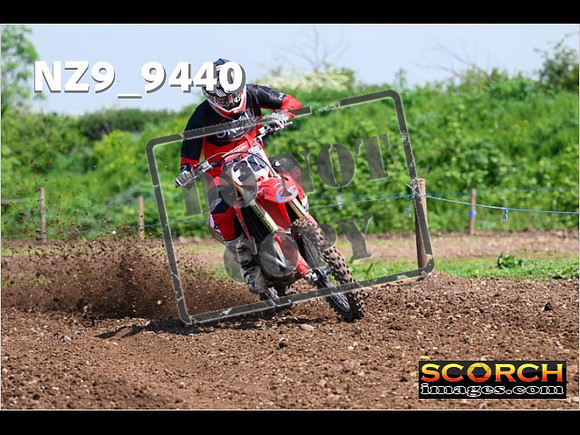 Experts-291