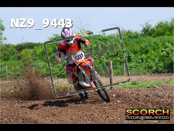Experts-294