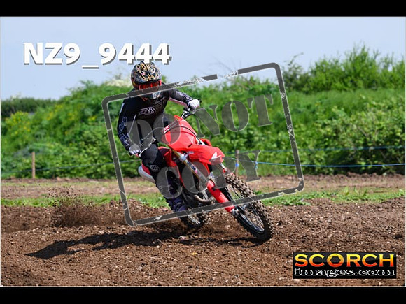 Experts-295