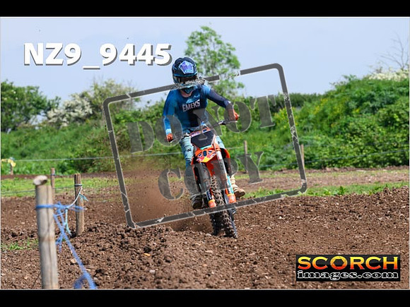 Experts-296