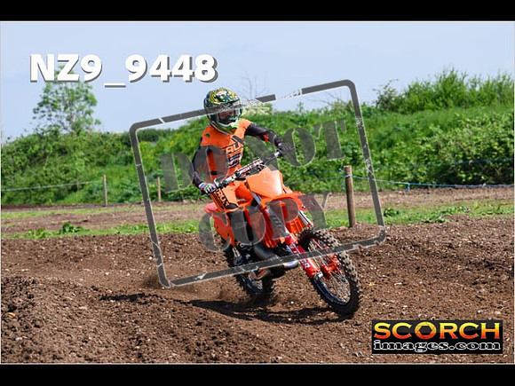 Experts-299