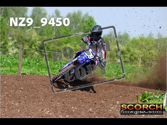 Experts-301