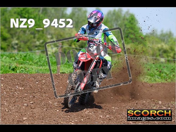 Experts-303
