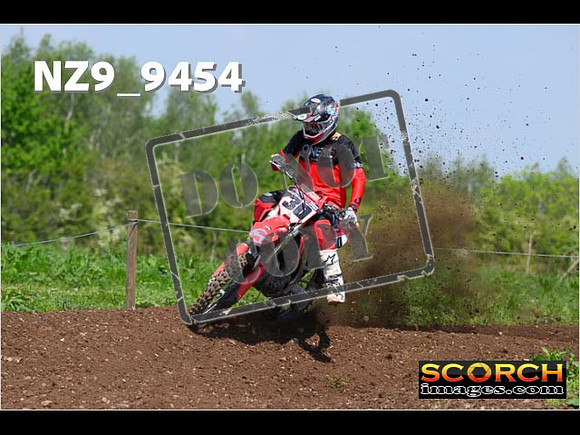 Experts-305