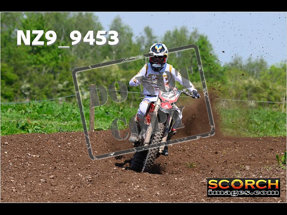 Experts-304