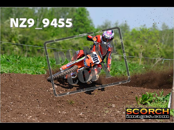 Experts-306