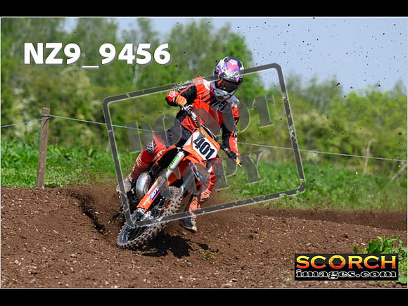 Experts-307