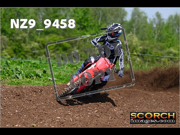 Experts-309