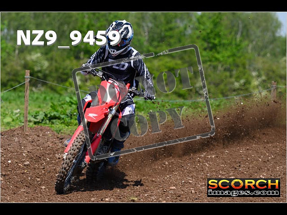 Experts-310