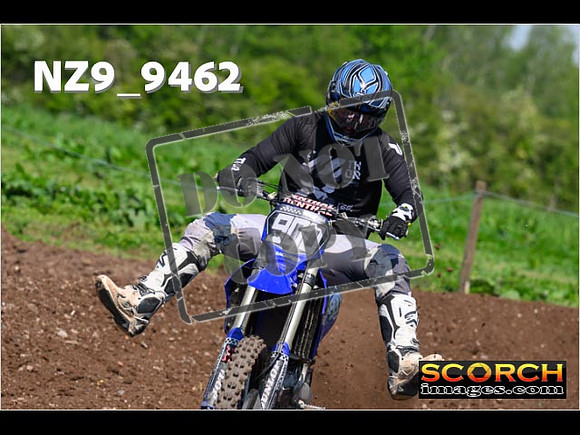 Experts-313