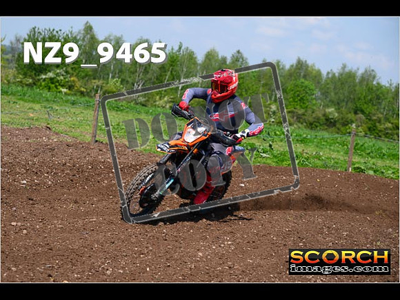 Experts-316