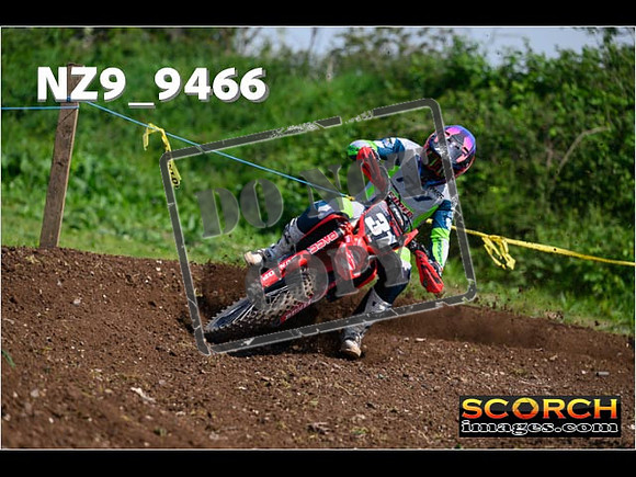 Experts-317