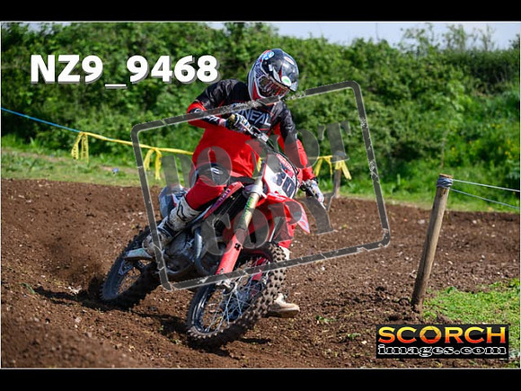 Experts-319