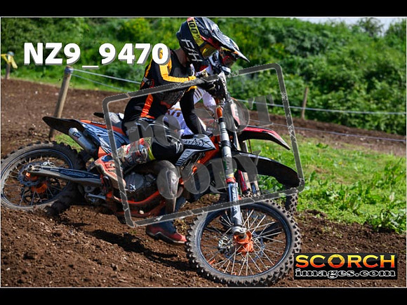 Experts-321