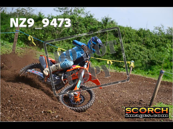 Experts-324