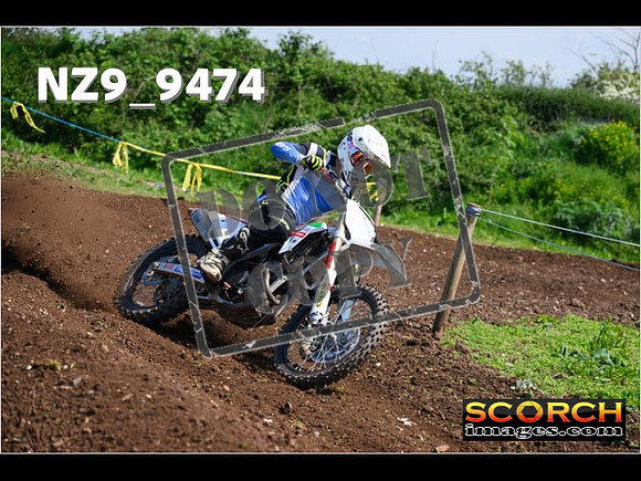 Experts-325