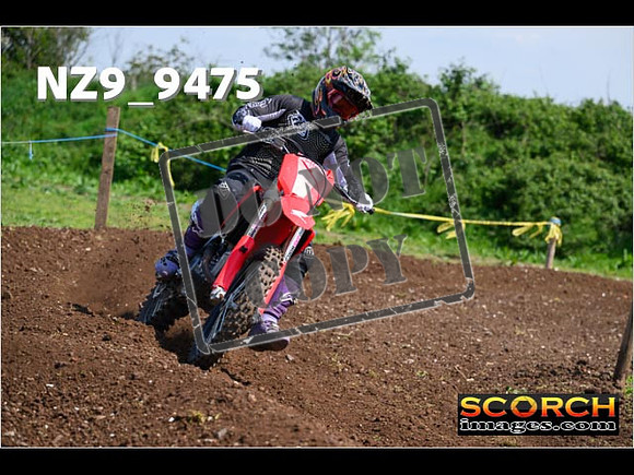 Experts-326