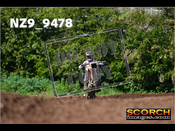 Experts-329