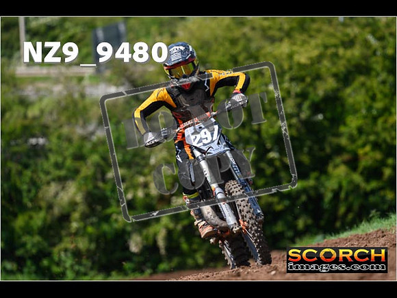 Experts-331