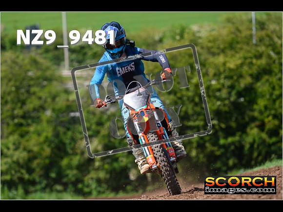 Experts-332