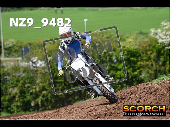 Experts-333