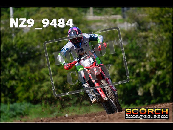Experts-335