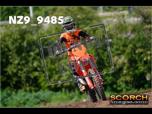Experts-336