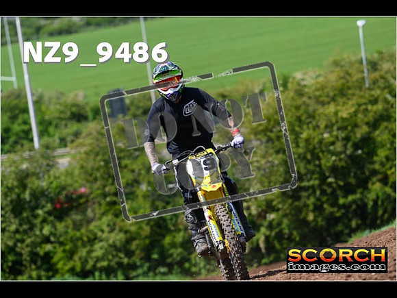 Experts-337