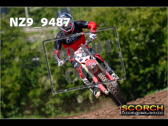 Experts-338