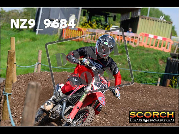 Experts-339