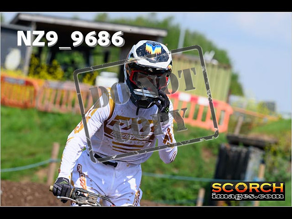 Experts-341