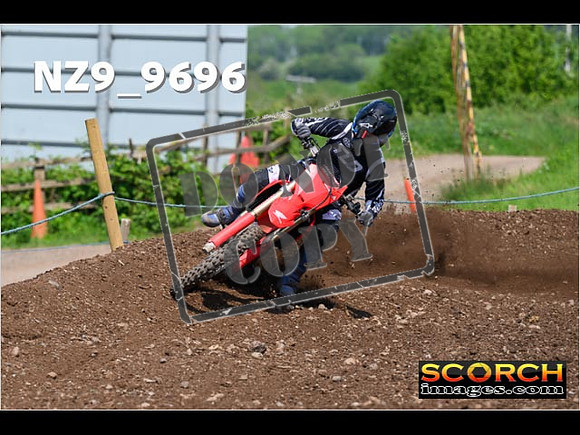 Experts-351