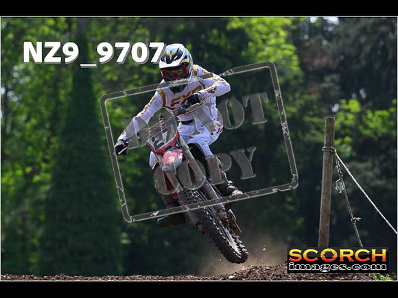 Experts-362