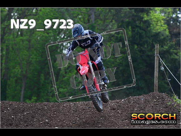 Experts-377