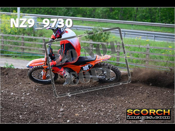 Experts-384