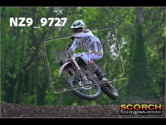 Experts-381
