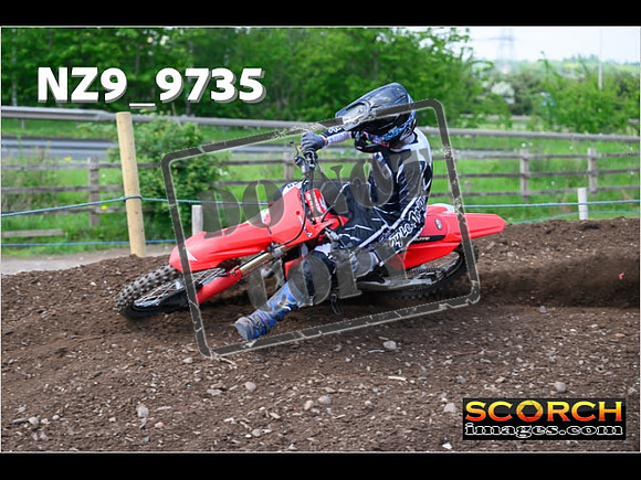 Experts-389