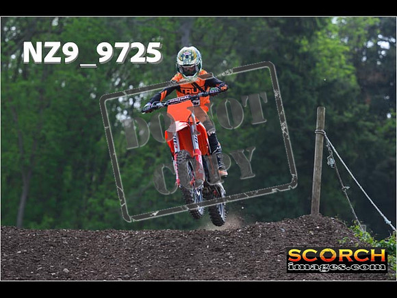 Experts-379