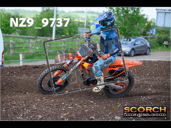 Experts-391