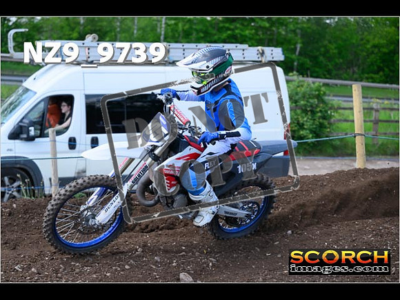 Experts-393