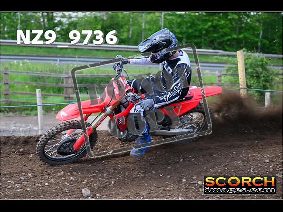 Experts-390