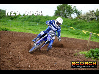 Experts-019