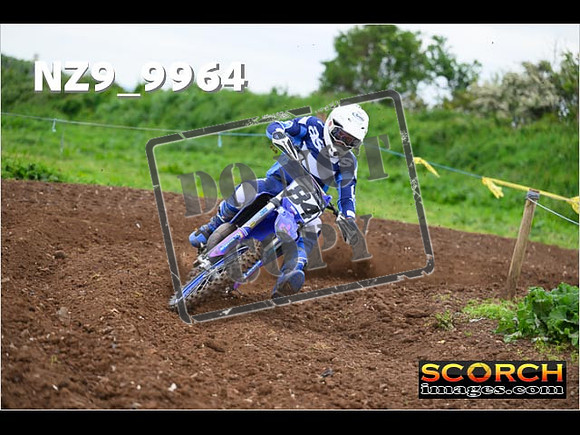 Experts-019