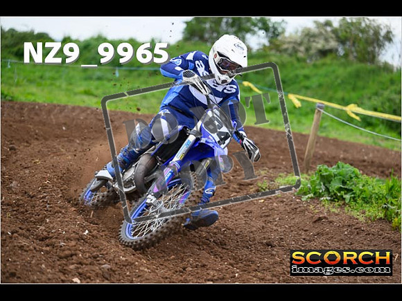 Experts-020