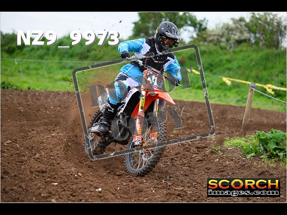 Experts-028