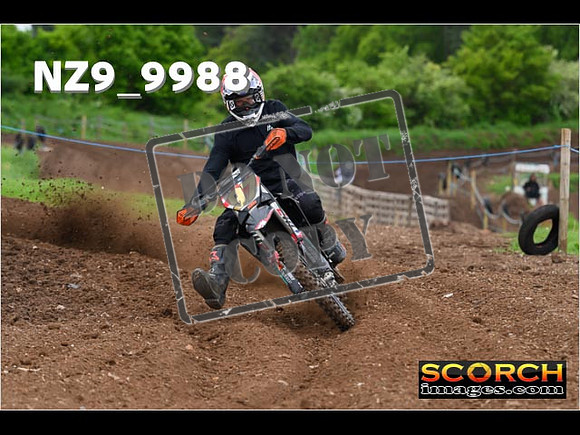 Experts-043